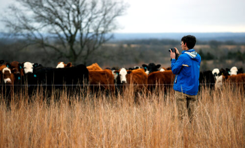 Sharing Your Ranching Story on Social Media thumb