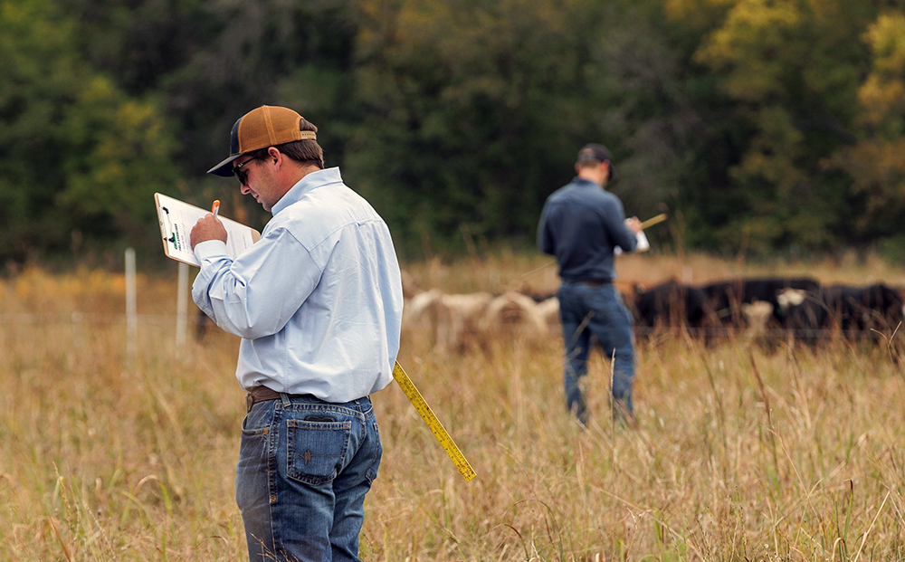 observing field