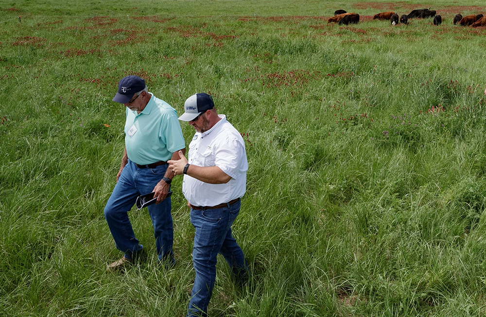 ranchers walking in field